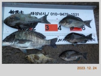 해금강 감성돔 49-47-46-46 외 잔당들