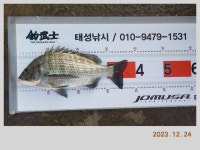 해금강 감성돔 49-47-46-46 외 잔당들