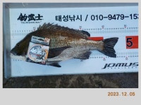 해금강 51 / 47 / 46 Cm 외 감성돔 소식