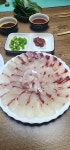 다대포 감성돔4짜포항.학꽁치(지난조황)