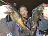 화욜새벽,완전 대빵왕뽈락 잔치 잔치 엄청나게 퍼담았네~예약가능~