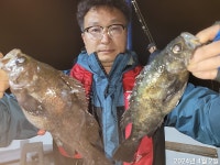 화욜새벽,완전 대빵왕뽈락 잔치 잔치 엄청나게 퍼담았네~예약가능~