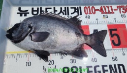 핫 국도 핫 국도