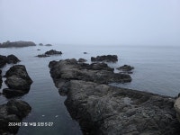 감포바다 기상 및 조황정보