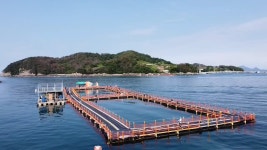 2024 통영좌대낚시 통영중화낚시터