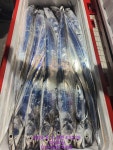 [여수 마린피싱] 갈치조황소식이 살아나고있습니다.010-6683-4490