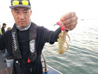 목포목화피싱 9/1일 목포쭈꾸미낚시 첫날 느나느나 당그며 한마리씩 계속 올리고 있습니당. (현재시간 오전6시30분)