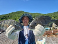 《감성돔》4짜급까지 마릿수로 찐~한 손맛