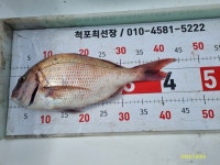 척포)최선장~감시~참돈~뻰찌 소식으로~~