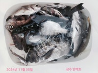지금 상주는 탱크급 감성돔이 설치고 있습니다.