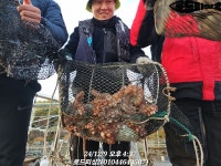 고성로드피싱2호 12월09일 주간문어 2키로부터 시작!!