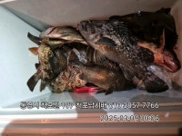 5짜가 연이어 나오네요.