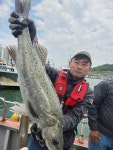 목화피싱 5/11일 농어 외수질낚시 마릿수 줙여주넹요.4kg~3kg 농어 초보자분들 조황(담 물때 문의요)