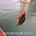 쏨뱅이 낚시