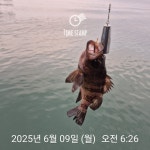 낮볼락 낚시