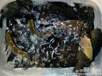 직벽호]벵에돔 어시장이 따로없네