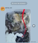 직벽호]벵에돔 어시장이 따로없네