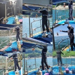돌문어 ...장원 16수 / 2등 12수 / 3등 11수 ...