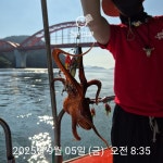 인생 문어 잡으러!!