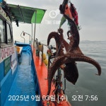 문어 구경만!!