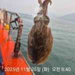 갑오징어 낚시만
