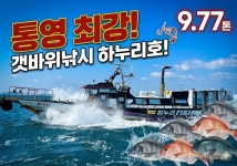 하누리 피싱]하누리2호 첫 감성돔 소식 좋네예(일요일 새벽2시 출항)