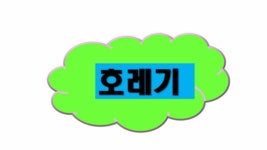 문어(원도권)1.7K외kkk 키로오바 주구장창~현서피싱(3일 예약)