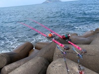 아진공방 5453 돌돔대 판매합니다.