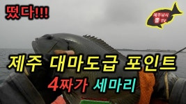 제주 대마도급 포인트