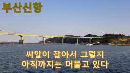 감성돔낚시 - 20201006 부산신항 선원회관 옆 해안가에서의 짬낚시