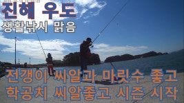 생활낚시 - 20201013 진해 우도에서의 손맛있는 낚시