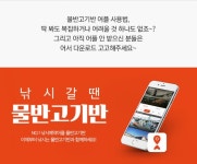 국내 최초 바다/민물 통합 No1. 낚시어플 물반고기반 사용법