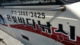 울산 방어진 앞선상조황