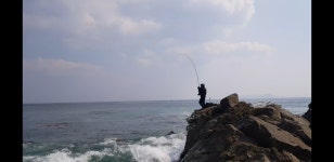 후포 감성돔낚시...