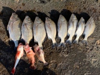 여수 성두마을 갯바위