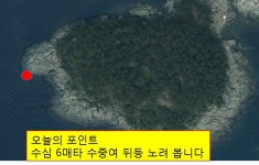 핫한 향촌 오후 짬 낚시