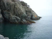 거제 지심도 조황