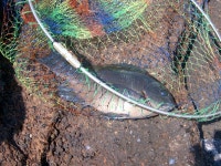 10.9, 우도에서.. 가파도까지..