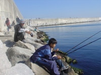 짜장면 시키신~~분