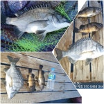 거제 이수도 해상콘도 및 유료낚시터(좌대)