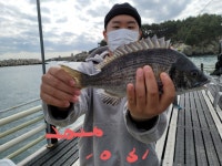 울산송정바다낚시터 10월 31일 조황 소식입니다