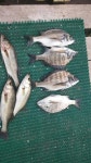 도산면 愛 바다 레져