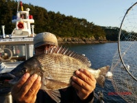 썬피싱 오후출조