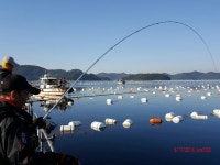 썬피싱 실시간 오후갑니다