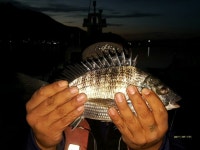 썬피싱 오후출조