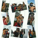 대왕문어 & 갑이조황 입니다