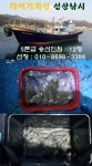 구산면 타이거 호렉 조황