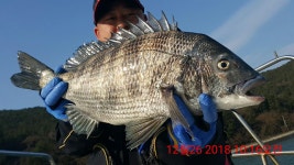 ..대물감성돔 55. 4짜4짜4짜4짜 실시간