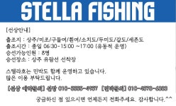 상주/남면 선상 조황입니다.