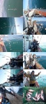 통영들물 열기 +볼락 조황~~날씨좋은 29일 부터 열기볼락~3호 왕 오징